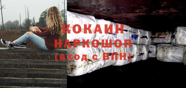 шишки Алзамай