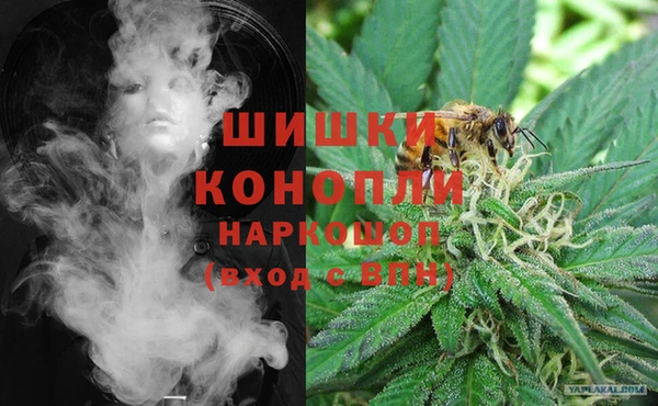 шишки Алзамай