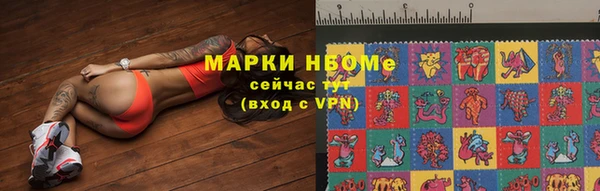 шишки Алзамай