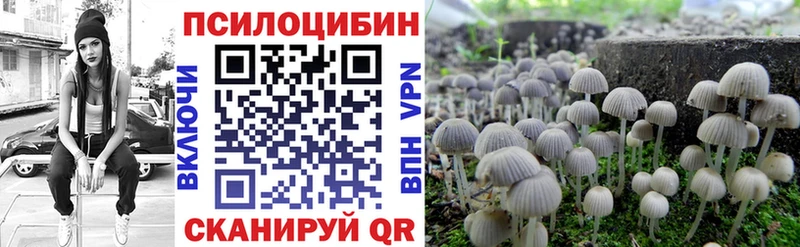 Псилоцибиновые грибы мицелий наркошоп Александровское